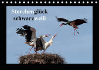 Storchenglück schwarzweiß (Tischkalender 2021 DIN A5 quer)