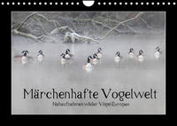 Märchenhafte Vogelwelt (Wandkalender 2022 DIN A4 quer)