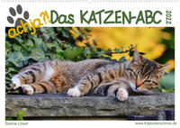 achja - Das Katzen-ABC (Wandkalender 2022 DIN A2 quer)