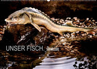 UNSER FISCH. SÜßWASSER. (Wandkalender 2023 DIN A2 quer)