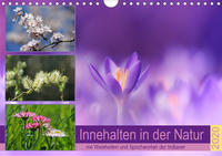 Innehalten in der Natur ... mit Weisheiten und Sprichworten der Indianer (Wandkalender 2020 DIN A4 quer)