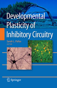 Developmental Plasticity of Inhibitory Circuitry