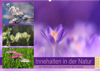 Innehalten in der Natur ... mit Weisheiten und Sprichworten der Indianer (Wandkalender 2023 DIN A2 quer)