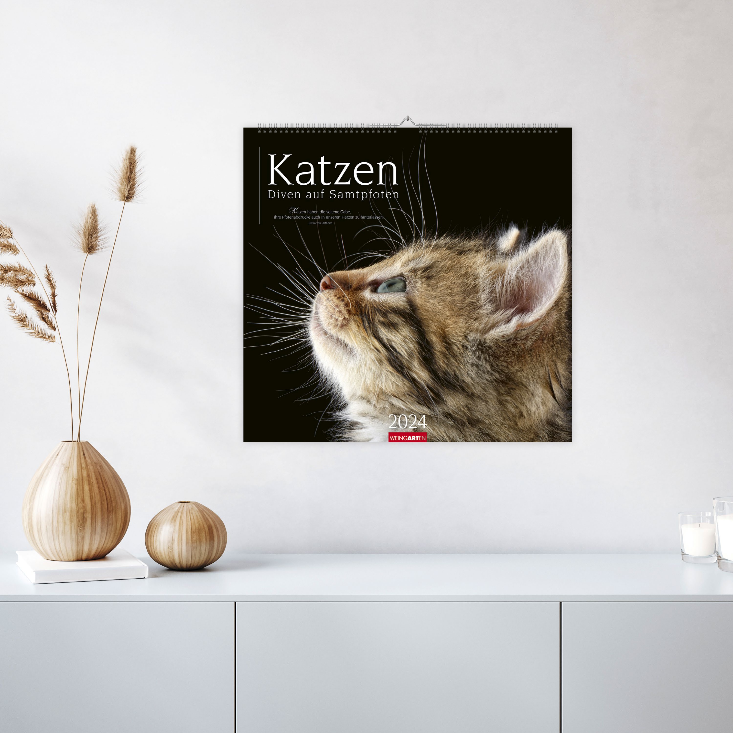 Katzen - Diven auf Samtpfoten Kalender 2024. Eigenwillig und geliebt: Katzen-Porträts in einem großen Wandkalender. Tierkalender 2024 für Katzenfans. 48x46 cm