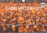 Flamingo Impressionen 2023 (Wandkalender 2023 DIN A4 quer)