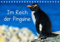 Im Reich der Pinguine (Tischkalender 2023 DIN A5 quer)