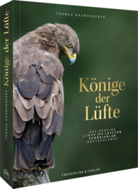 Könige der Lüfte