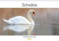 Schwäne Majestätische Vögel (Wandkalender 2021 DIN A3 quer)