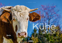 Kühe 2022