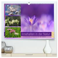 Innehalten in der Natur ... mit Weisheiten und Sprichworten der Indianer (hochwertiger Premium Wandkalender 2025 DIN A2 quer), Kunstdruck in Hochglanz