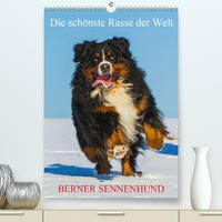 Die schönste Rasse der Welt - Berner Sennenhund (Premium, hochwertiger DIN A2 Wandkalender 2021, Kunstdruck in Hochglanz)