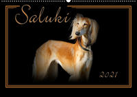 Saluki 2021 (Wandkalender 2021 DIN A2 quer)