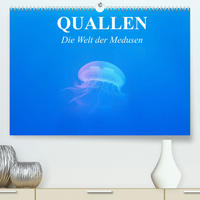 Quallen. Die Welt der Medusen (Premium, hochwertiger DIN A2 Wandkalender 2022, Kunstdruck in Hochglanz)