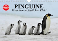 Pinguine - Watscheln im festlichen Kleid (Wandkalender 2023 DIN A4 quer)