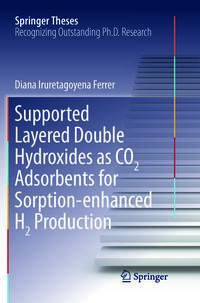 Supported Layered Double Hydroxides as CO2 Adsorbents for Sorption-enhanced H2 Production