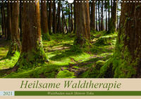 Heilsame Waldtherapie - Waldbaden nach Shinrin Yoku (Wandkalender 2021 DIN A3 quer)