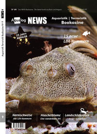 NEWS Bookazine Nr. 9 (Herbst 2020)