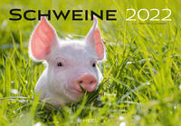 Schweine 2022