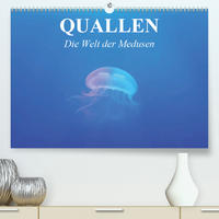 Quallen. Die Welt der Medusen (Premium, hochwertiger DIN A2 Wandkalender 2020, Kunstdruck in Hochglanz)