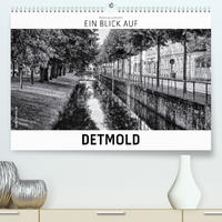 Ein Blick auf Detmold (Premium, hochwertiger DIN A2 Wandkalender 2023, Kunstdruck in Hochglanz)