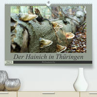 Der Hainich in Thüringen - Weltnaturerbe (Premium, hochwertiger DIN A2 Wandkalender 2023, Kunstdruck in Hochglanz)