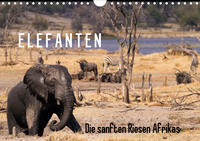 Elefanten - Die sanften Riesen Afrikas (Wandkalender 2020 DIN A4 quer)