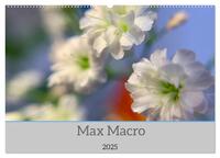 Max Macro (Wandkalender 2025 DIN A2 quer), CALVENDO Monatskalender