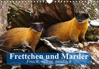 Frettchen und Marder. Frech, witzig, niedlich (Wandkalender 2021 DIN A4 quer)