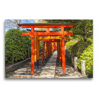 Premium Textil-Leinwand 75 x 50 cm Quer-Format Im Licht sind sie leuchtend Rot: Torii Tore. | Wandbild, HD-Bild auf Keilrahmen, Fertigbild auf hochwertigem Vlies, Leinwanddruck von CALVENDO