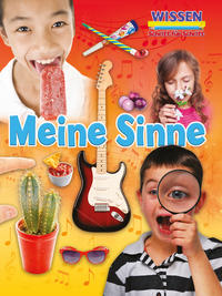 Meine Sinne