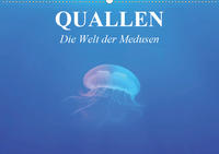 Quallen. Die Welt der Medusen (Wandkalender 2021 DIN A2 quer)