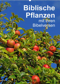 Biblische Pflanzen mit ihren Bibelversen (Wandkalender 2023 DIN A2 hoch)