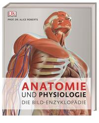 Anatomie und Physiologie