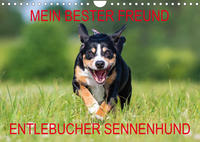 Mein bester Freund - Entlebucher Sennenhund (Wandkalender 2023 DIN A4 quer)