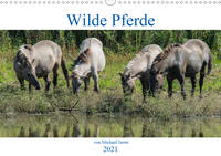 Wilde Pferde von Michael Jaster (Wandkalender 2021 DIN A3 quer)