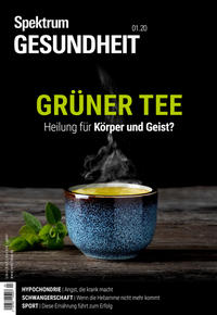 Spektrum Gesundheit- Grüner Tee