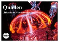 Quallen. Ätherische Wunderwesen (Wandkalender 2025 DIN A3 quer), CALVENDO Monatskalender