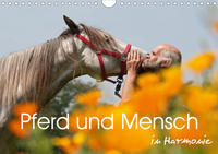 Pferd und Mensch in Harmonie (Wandkalender 2020 DIN A4 quer)