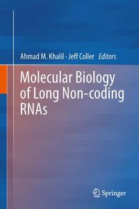 Molecular Biology of Long Non-coding RNAs