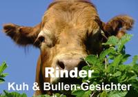 Rinder • Kuh & Bullen-Gesichter (Posterbuch DIN A3 quer)