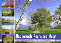 Das Loisach-Kochelsee-Moor Traumhafte Moosrundwege bei Benediktbeuern (Wandkalender 2020 DIN A3 quer)