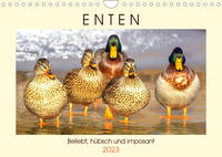 Enten. Beliebt, hübsch und imposant (Wandkalender 2023 DIN A4 quer)