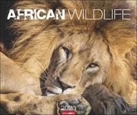 African Wildlife Kalender 2023. Die Tierwelt Afrikas in atemberaubenden Fotos festgehalten für einen großen Wandkalender. Fotokalender mit Wow-Faktor.