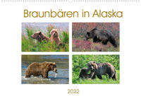 Braunbären in Alaska (Wandkalender 2022 DIN A2 quer)