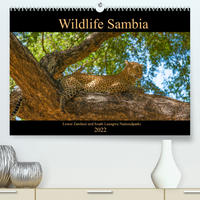 Wildlife Sambia (Premium, hochwertiger DIN A2 Wandkalender 2022, Kunstdruck in Hochglanz)