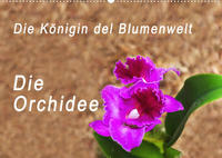 Die Königin der Blumenwelt, die Orchidee (Wandkalender 2022 DIN A2 quer)