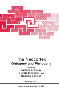 The Neocortex