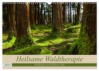 Heilsame Waldtherapie - Waldbaden nach Shinrin Yoku (Wandkalender 2025 DIN A3 quer), CALVENDO Monatskalender