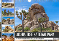 JOSHUA TREE NATIONAL PARK Wüstenimpressionen aus Südkalifornien (Wandkalender 2021 DIN A4 quer)