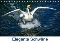 Elegante Schwäne (Tischkalender 2023 DIN A5 quer)